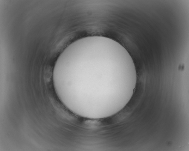 X0000113020133200909171504