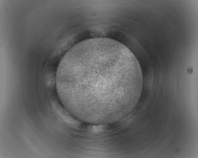 X0000113020134200909171504