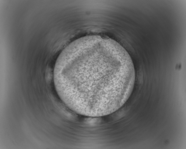 X0000113020135200909171504