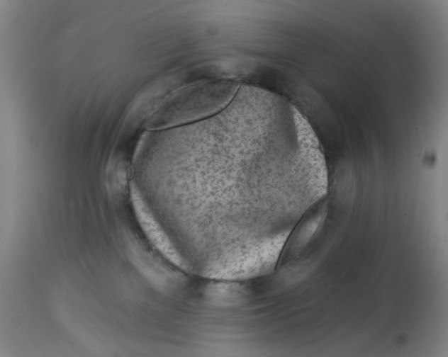 X0000113020137200909171504