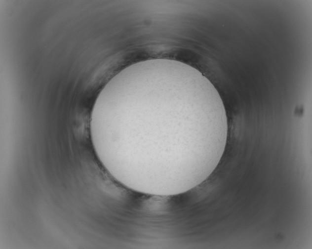 X0000113020138200909171504