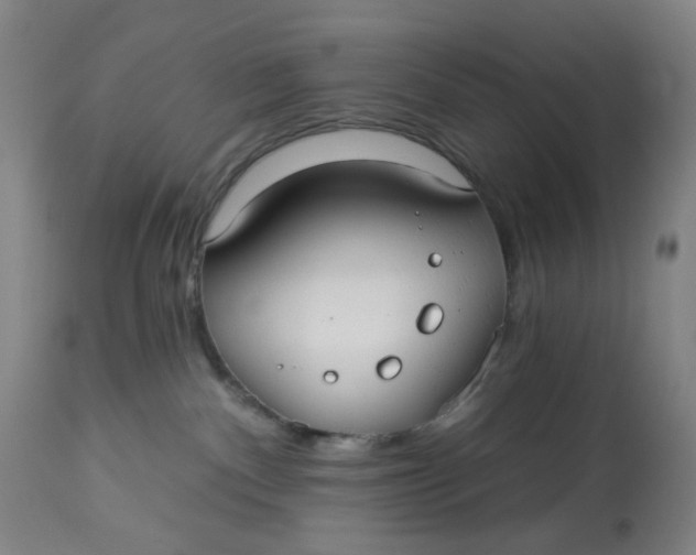 X0000113020140200909171504