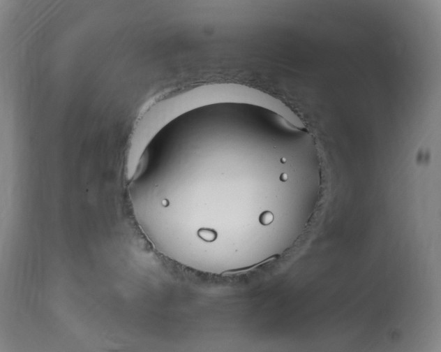 X0000113020144200909171504