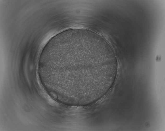 X0000113020145200909171503