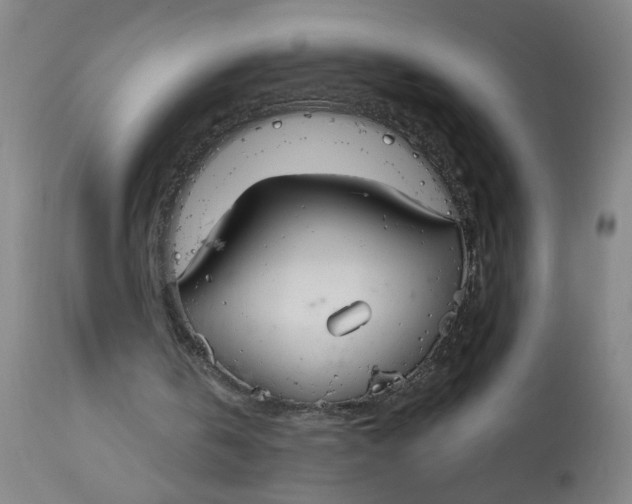 X0000113020146200909171503