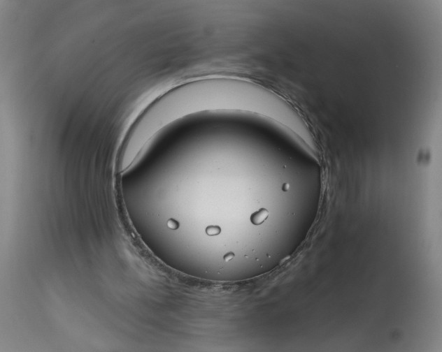 X0000113020148200909171503