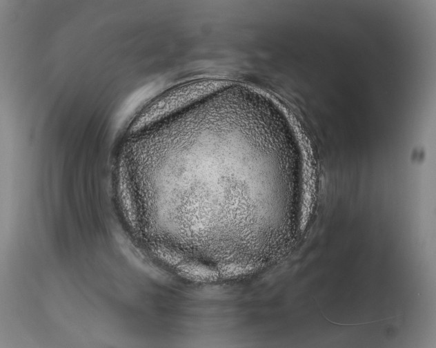 X0000113020149200909171503