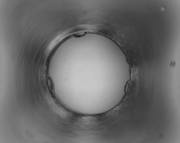 X0000113020150200909171503