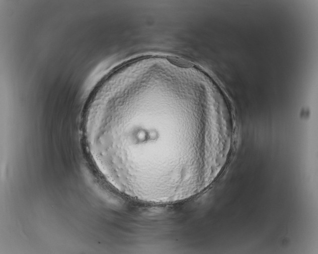 X0000113020151200909171503