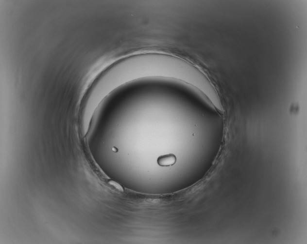 X0000113020152200909171503