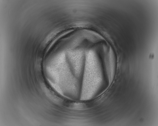 X0000113020154200909171503