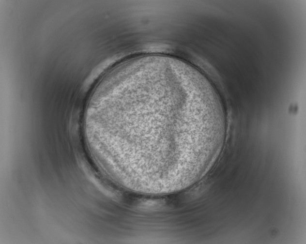 X0000113020155200909171503