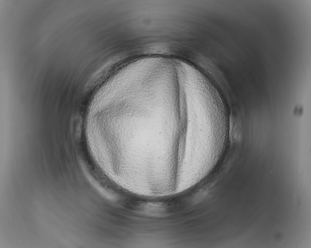 X0000113020157200909171503