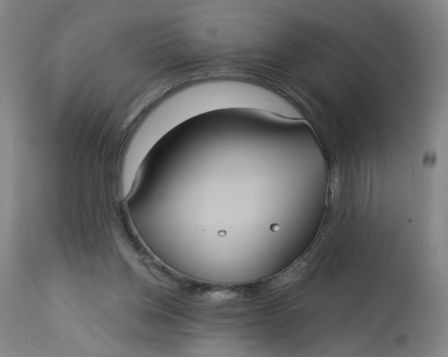 X0000113020158200909171503