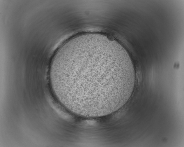 X0000113020159200909171503