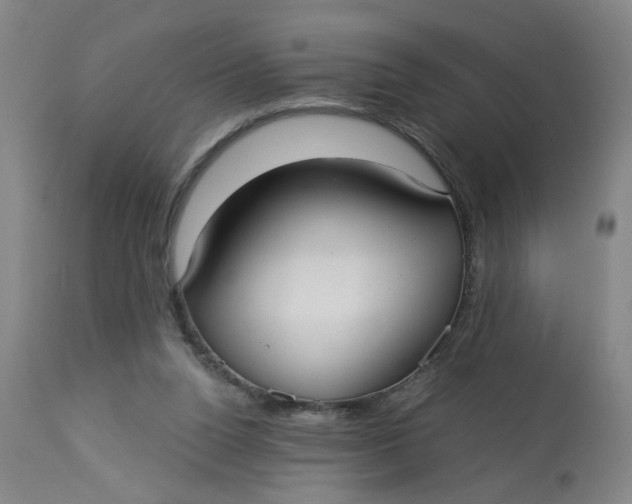 X0000113020160200909171503