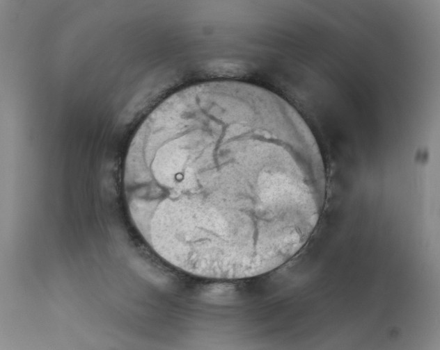 X0000113020162200909171503