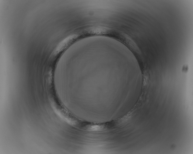 X0000113020163200909171503