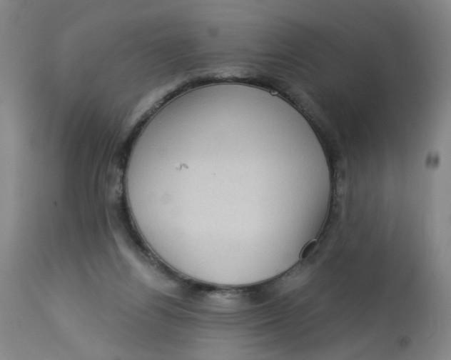 X0000113020164200909171503