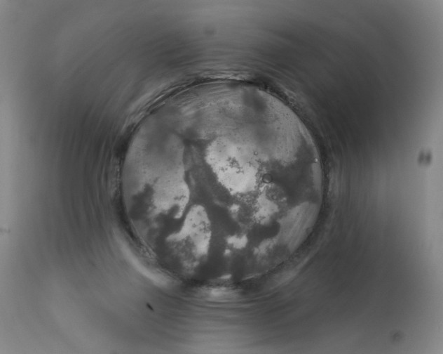 X0000113020165200909171503