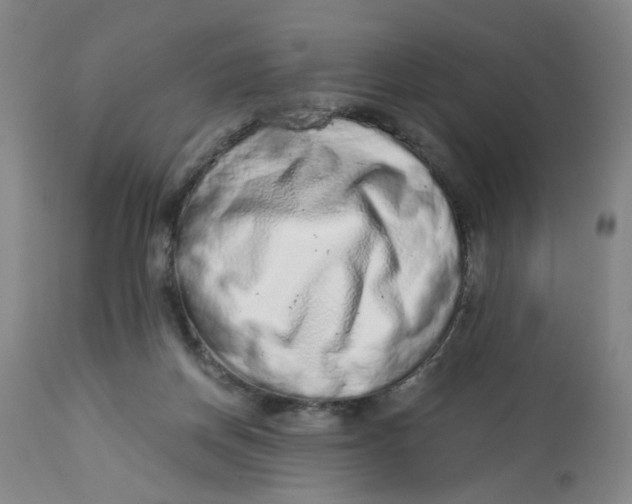 X0000113020166200909171503