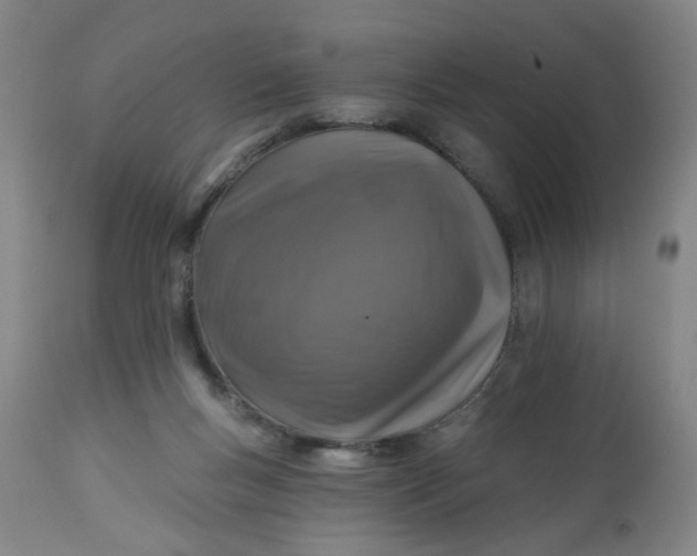 X0000113020167200909171503