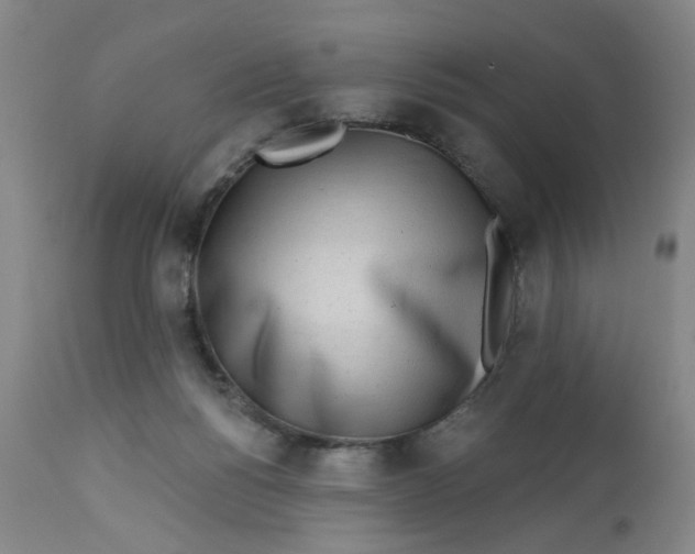 X0000113020168200909171503