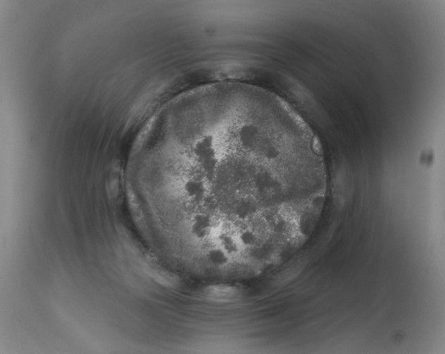 X0000113020169200909171503