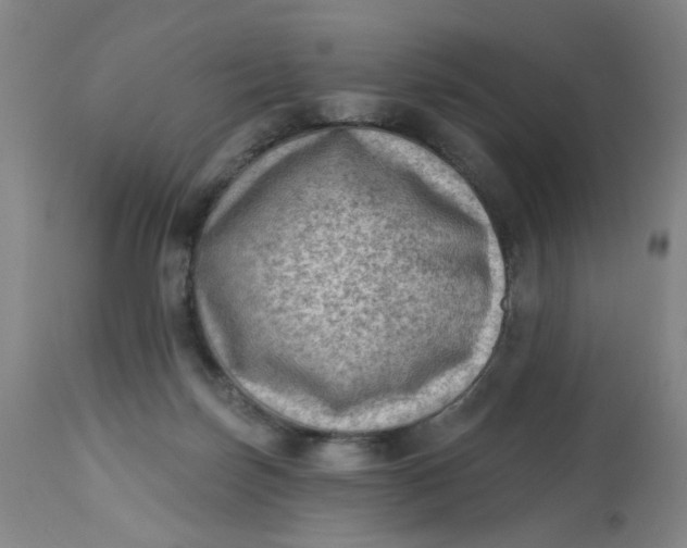 X0000113020171200909171503