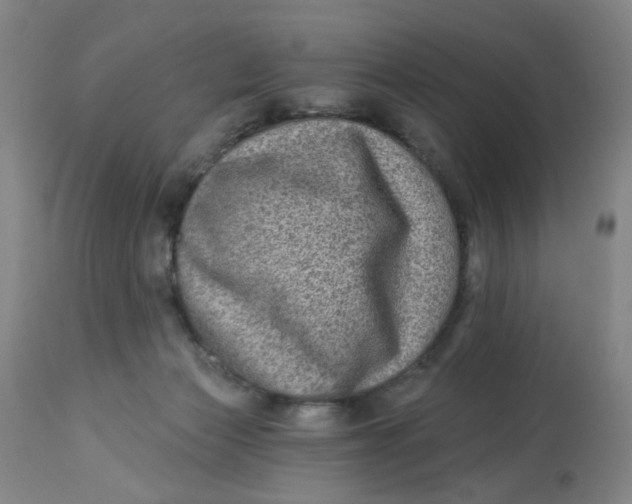 X0000113020173200909171503