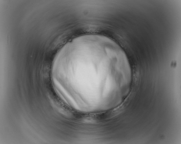 X0000113020175200909171503