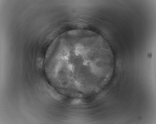 X0000113020177200909171503