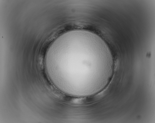 X0000113020178200909171504