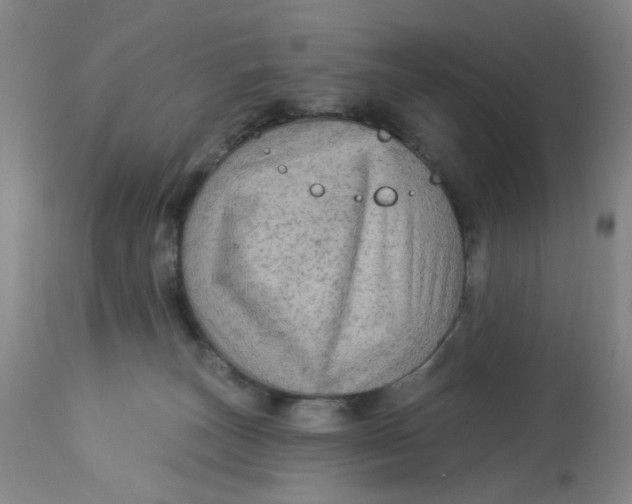 X0000113020179200909171504