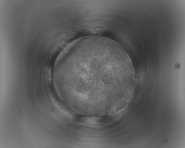 X0000113020182200909171504