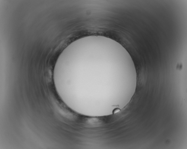 X0000113020183200909171504