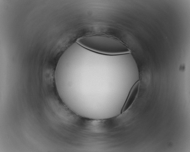 X0000113020184200909171504