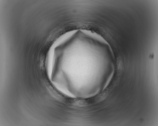 X0000113020185200909171504