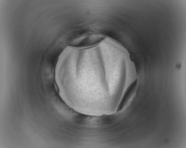 X0000113020186200909171504