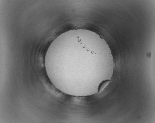 X0000113020187200909171504