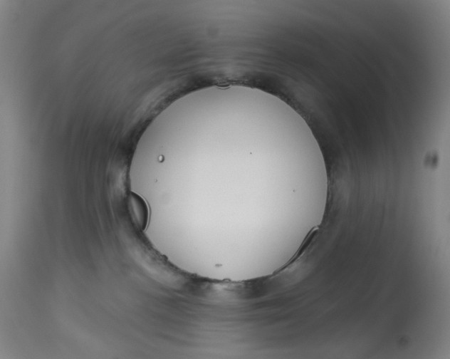 X0000113020188200909171504