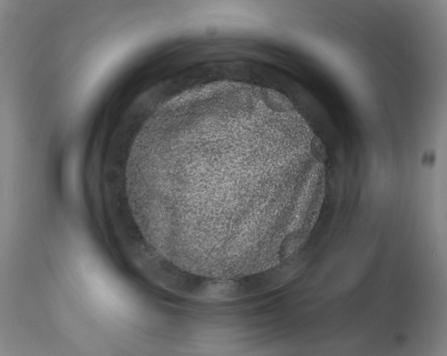 X0000113020189200909171504