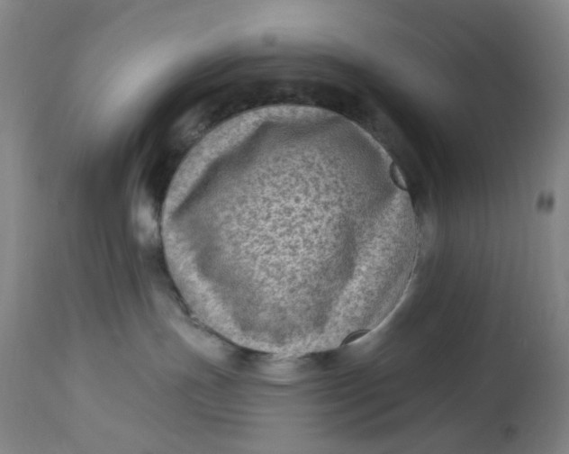 X0000113020191200909171504