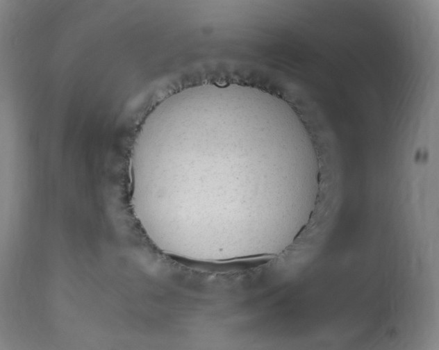 X0000113020192200909171504