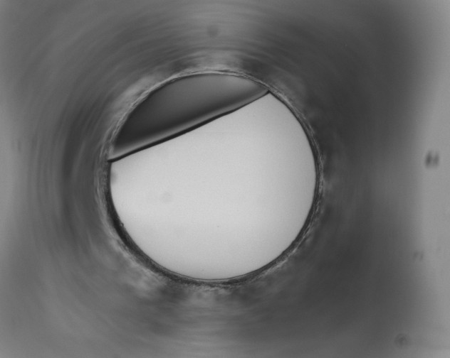 X0000113020193200909171503