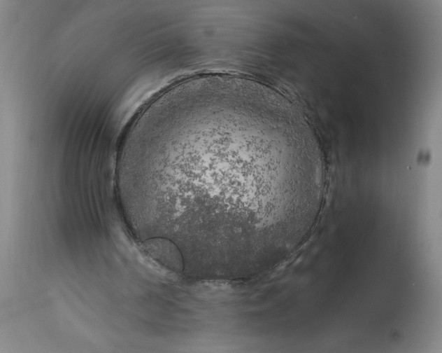 X0000113020194200909171503