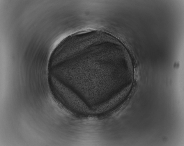 X0000113020196200909171503