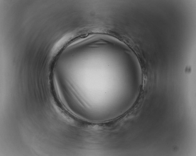 X0000113020197200909171503