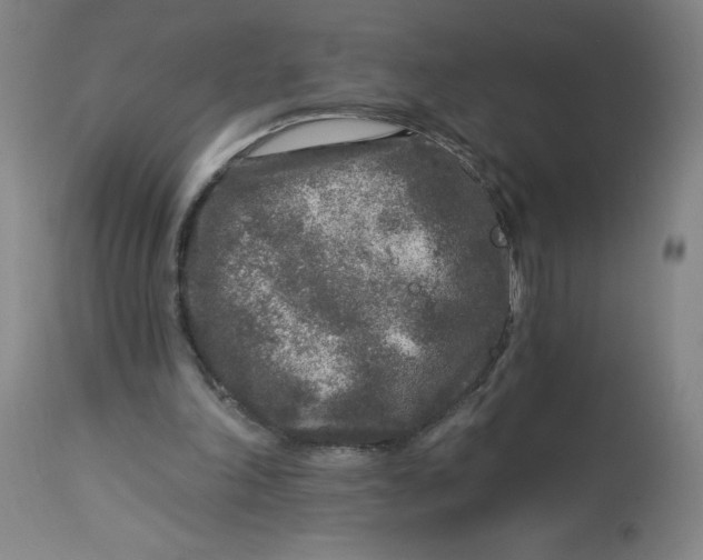 X0000113020198200909171503