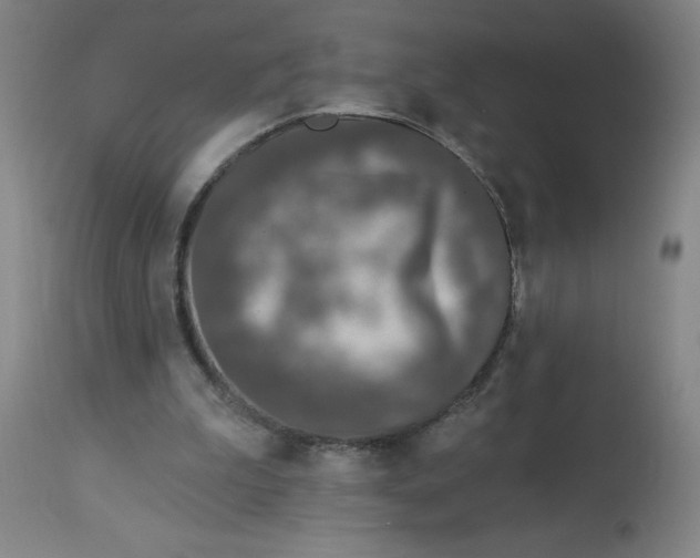 X0000113020199200909171503